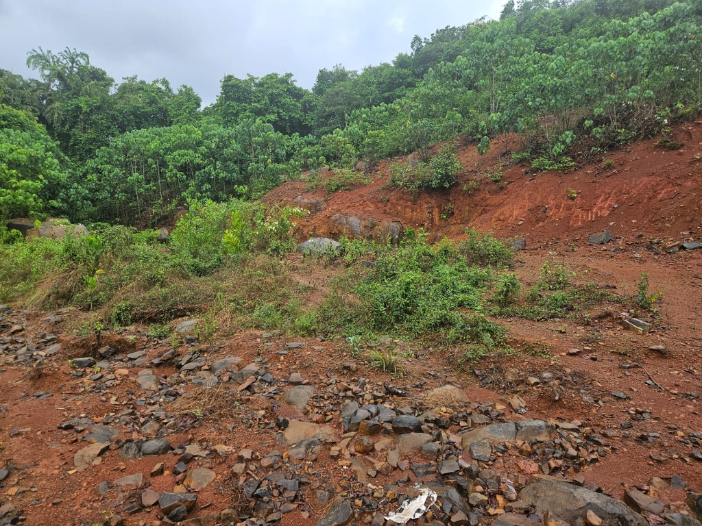 Sadum Chittor Excavation Field